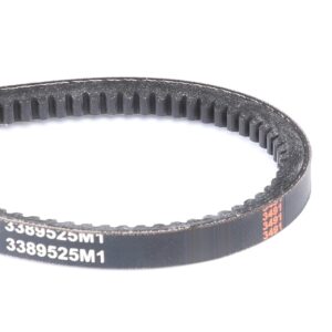 3389525M1 massey ferguson belt