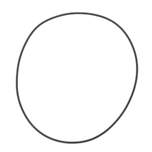700737760 massey ferguson o ring